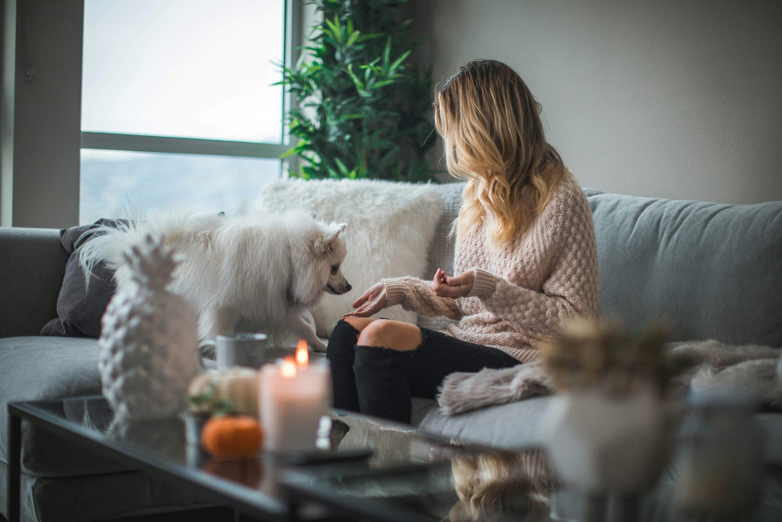 Choisir une assurance habitation sans stress